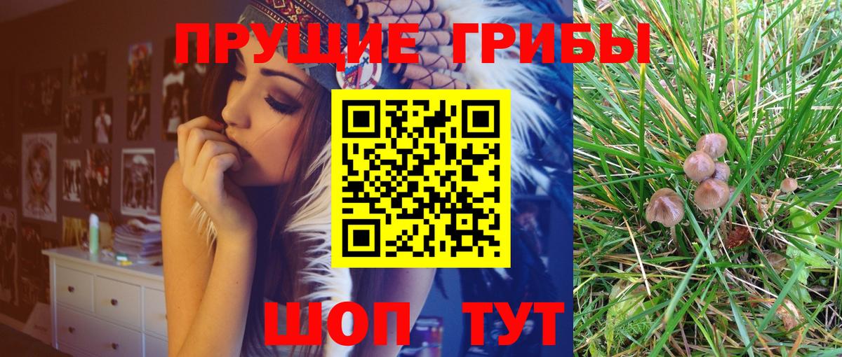 Псилоцибиновые грибы Psilocybine cubensis  Вход с VPN  Домодедово 